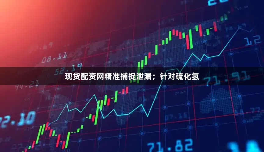 现货配资网精准捕捉泄漏；针对硫化氢