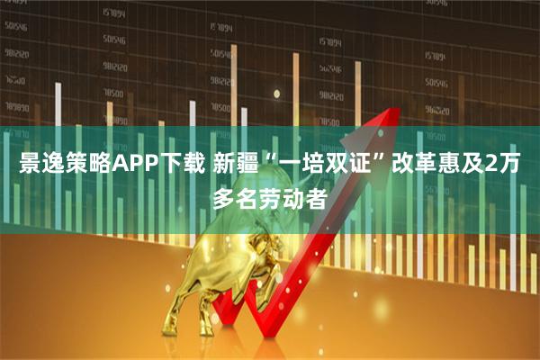 景逸策略APP下载 新疆“一培双证”改革惠及2万多名劳动者